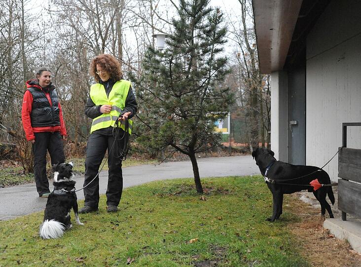Nova und Karin Orle finden Chester problemlos.