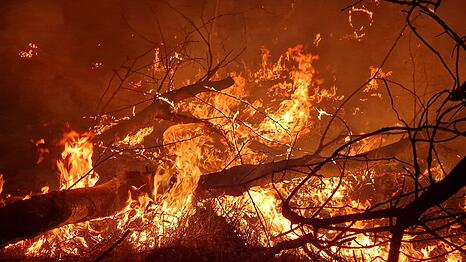 Flammen lodernden bei einem Waldbrand auf einem ehemaligen Truppenübungsplatz bei Jüterbog.