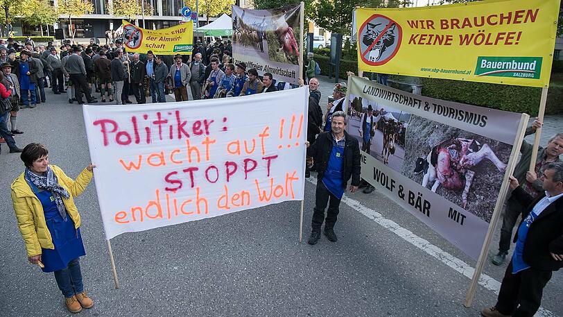 Bei einer Demonstration mit dem Motto "Weidetiere statt Wolfsreviere" nahmen am Montag rund 300 Bauern aus drei Ländern vor dem Prinzregententheater. Hier wurde am Vormittag die 1. Umweltministerkonferenz zur EU-Alpenstrategie eröffnet.