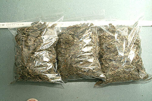 Kiloweise Marihuana hat die Polizei bei einer Großaktion sichergestellt (Symbolfoto)