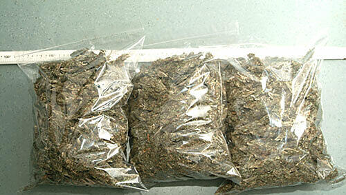 Kiloweise Marihuana hat die Polizei bei einer Großaktion sichergestellt (Symbolfoto) Kiloweise Marihuana hat die Polizei bei einer Großaktion sichergestellt (Symbolfoto)