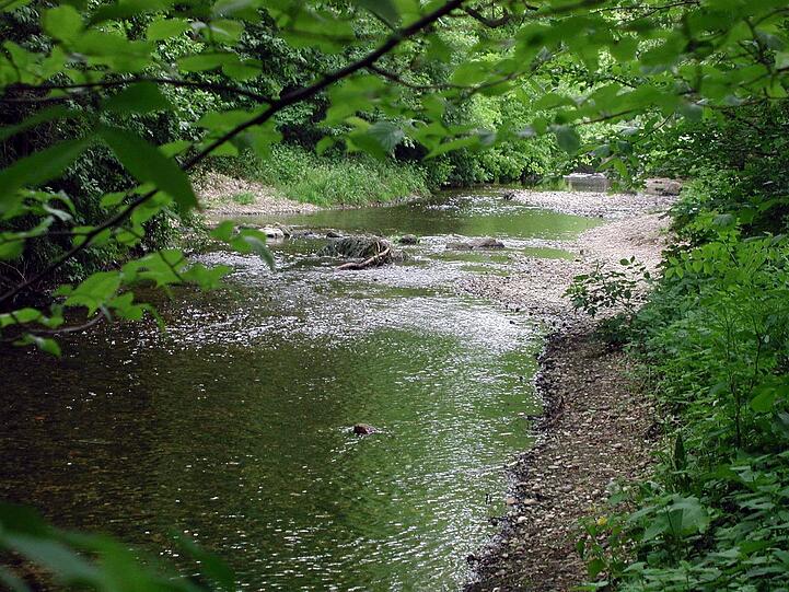 Schön grün: der Weg entlang der Würm.