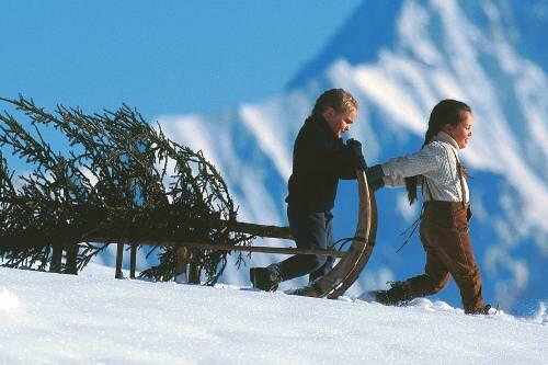 Vorfreude auf Weihnachten: Hoffentlich liegen auch die richtigen Geschenke unterm Christbaum.