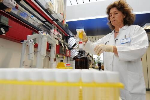 Die Beamten der Nürnberger Lebensmittelüberwachung schlugen zu, als sie die Proben aus dem Altstadt-Lokal im Labor untersucht und Schimmel festgestellt hatten.