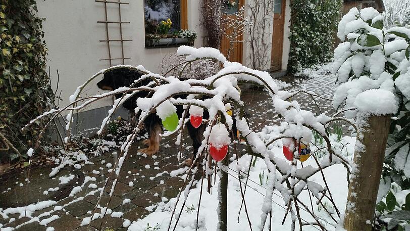 Die Münchner wurden heute Morgen von einer Schneedecke begrüßt.