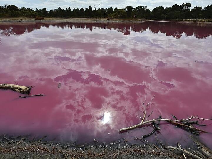 Blick auf den pink gefärbten See im Westgate Park von Melbourne (Australien). Die roten Pigmente werden von Algen verursacht.
