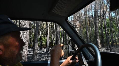 Ein Gro&szlig;teil seines Landes ist verbrannt, erz&auml;hlt Waldbauer Monchaux.