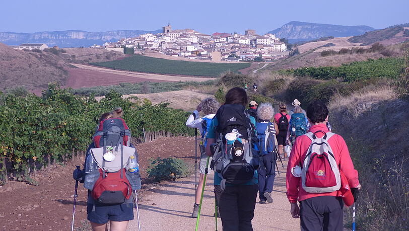 Faszination Jakobsweg: Im Jahr 2024 pilgerten fast eine halbe Million Menschen nach Santiago de Compostela im Nordwesten Spaniens. Faszination Jakobsweg: Im Jahr 2024 pilgerten fast eine halbe Million Menschen nach Santiago de Compostela im Nordwesten Spaniens.