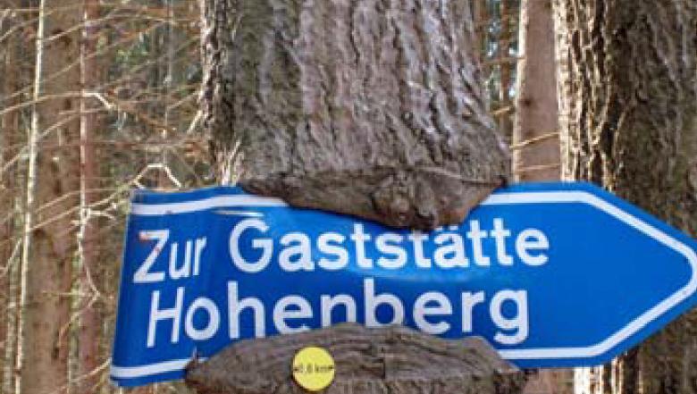 Das Ziel der Wanderung am kommenden Dienstag. Das Ziel der Wanderung am kommenden Dienstag.