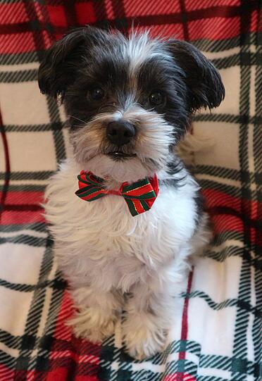 Marnie