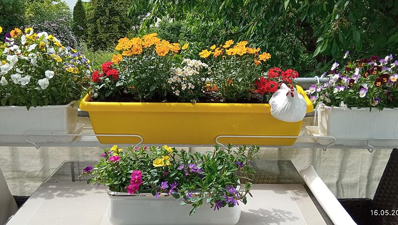 Blumenkästen müssen groß genug sein, um den Pflanzen genug Raum zu lassen (Symbolbild). Blumenkästen müssen groß genug sein, um den Pflanzen genug Raum zu lassen (Symbolbild).