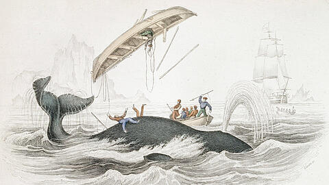 Kolorierter Stich einer Jagd auf einen Grönlandwal aus William Jardines "The Naturalist&rsquo;s Library: On the Ordinary Cetacea", Edinburgh, 1837. Unten: Herman Melville.