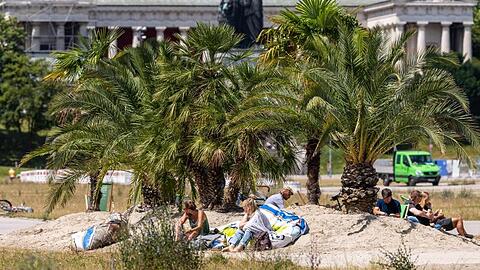 Mini-Oase aus ganz viel Sand mit 13 Palmen und 30 Liegen auf einem Teil der Theresienwiese. Foto: Peter Kneffel/dpa