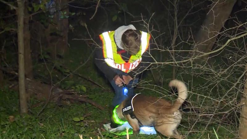 Ein Spürhund sucht nach einem vermissten Mann in Berlin. Nach dem Fund von Überresten eines seit rund zwei Monaten vermissten Mannes aus Berlin gibt es Hinweise auf Kannibalismus. Ein Spürhund sucht nach einem vermissten Mann in Berlin. Nach dem Fund von Überresten eines seit rund zwei Monaten vermissten Mannes aus Berlin gibt es Hinweise auf Kannibalismus.