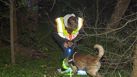 Ein Spürhund sucht nach einem vermissten Mann in Berlin. Nach dem Fund von Überresten eines seit rund zwei Monaten vermissten Mannes aus Berlin gibt es Hinweise auf Kannibalismus.