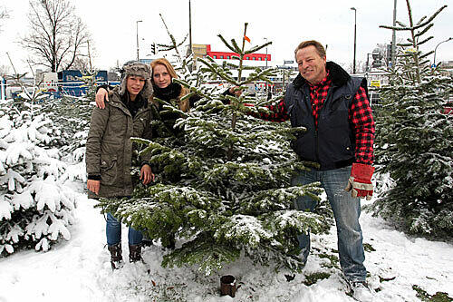 Die Weihnachtsbaum-Experten: Rupert Bauer, seine Tochter Anita (l.) und Mitarbeiterin Jessy Michels beraten AZ-Leser bei der Rabatt-Aktion.