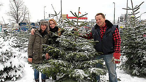 Die Weihnachtsbaum-Experten: Rupert Bauer, seine Tochter Anita (l.) und Mitarbeiterin Jessy Michels beraten AZ-Leser bei der Rabatt-Aktion.