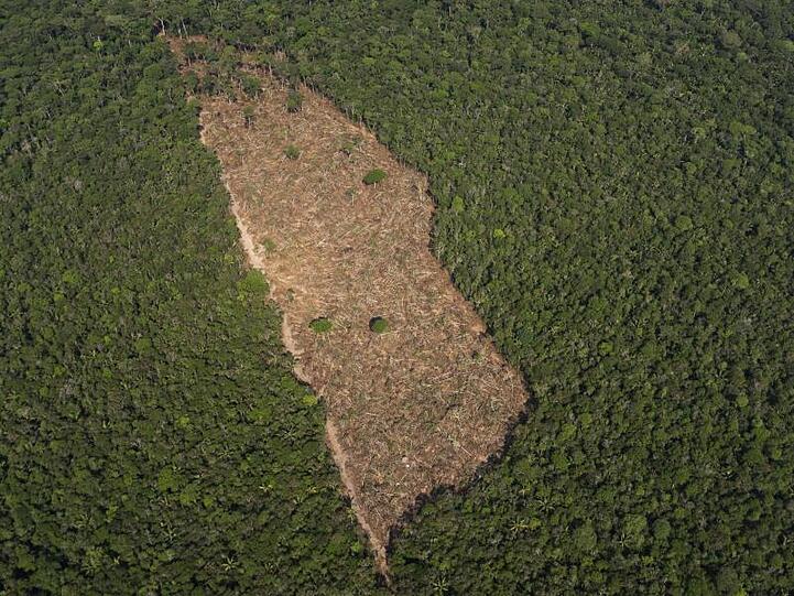 Ein abgeholztes Waldstück in der Mitte eines Waldgebietes in der brasilianischen Amazonasregion.
