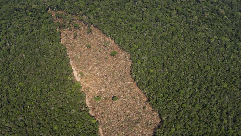 Ein abgeholztes Waldstück in der Mitte eines Waldgebietes in der brasilianischen Amazonasregion. Ein abgeholztes Waldstück in der Mitte eines Waldgebietes in der brasilianischen Amazonasregion.