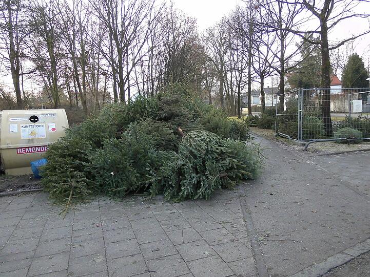 Die wilde Baumdeponie am Begasweg wächst und wächst.