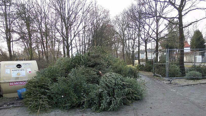 Die wilde Baumdeponie am Begasweg wächst und wächst. Die wilde Baumdeponie am Begasweg wächst und wächst.