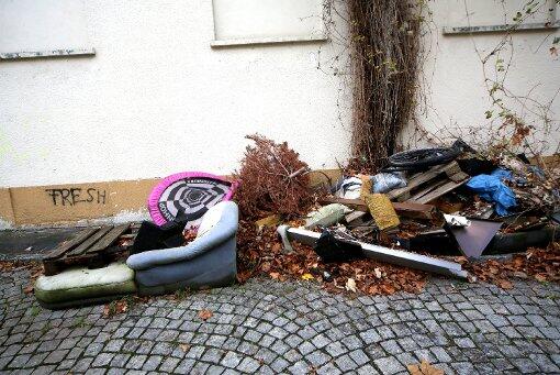 Doch, doch - eigentlich ist hier Schutt abladen verboten. Es hat sich nur jahrelang nicht jeder dran gehalten. So entstand dieser Haufen