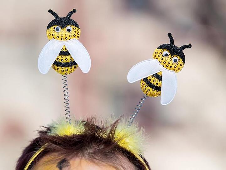 Die Organisatoren des Volksbegehrens "Rettet die Bienen!" stellen am 12.02.2020 ihre Bilanz des ersten Jahres vor. Foto: Sven Hoppe/dpa