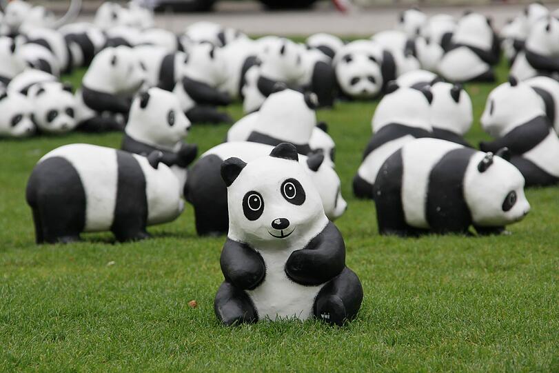 WWF Deutschland feiert 50-jähriges Bestehen: Die Panda-Skulpturen am Marienhof