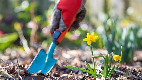 Jetzt ist Zeit f&uuml;r Gartenarbeit. (Symbolbild)