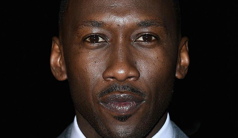 Mahershala Ali, Schauspieler und Moslem, kritisierte die Politik des neuen US-Präsidenten scharf.