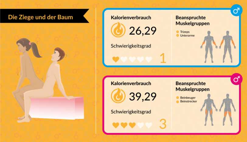 Bei der Sex-Stellung "Die Ziege und der Baum" verbrennt der Mann 26,29 Kalorien und die Frau 39,29 Kalorien pro zehn Minuten.
