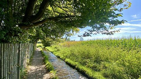 Der schmale Weg am kleinen Hachinger Bach ist eine beliebte Joggingstrecke. Darf ein Privatmensch diesen etablierten Erholungsweg in der Natur für Bürger sperren?