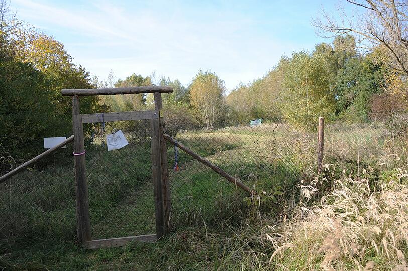 Ein Loch im Maschendrahtzaun weckt ihre Neugier. Von dort führt ein Trampelpfad vorbei an Büschen zum Bahndamm.