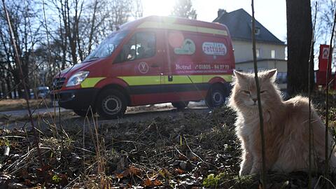 Die Tierrettung München e.V ist ein Tierärztlicher Notdienst. Die Tierrettung braucht neue Räume.