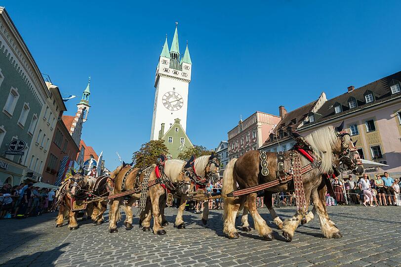 Schon am Freitag fan der traditionellen Auszugs zum Gäubodenvolksfest statt. Die Bilder!