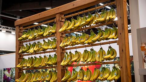 Die Biobranche boomt in Deutschland - doch die Landwirte kommen mit dem Anbau kaum nach. Die Biobranche boomt in Deutschland - doch die Landwirte kommen mit dem Anbau kaum nach.