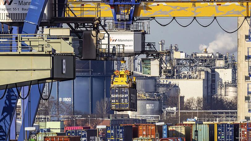 Containerterminal im M&uuml;hlauhafen in Mannheim. W&auml;hrungsschwankungen wirken sich auf den Warenexport aus.