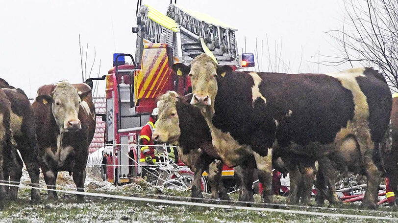 Bilder vom Feuerwehreinsatz in Irschenberg.