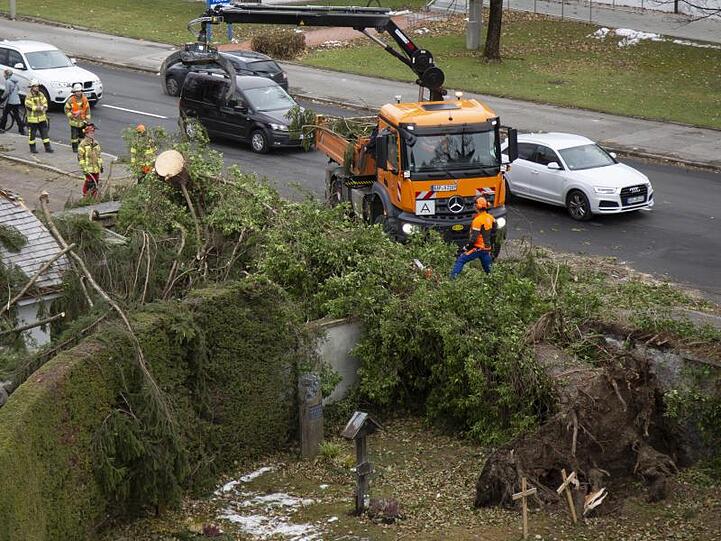 Umgestürzte Bäume liegen auf dem Friedhof im Ortsteil Partenkirchen. Foto: Josef Hornsteiner/dpa