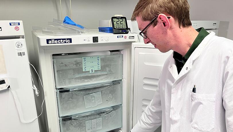 Pestiziduntersuchungen bei Obst und Gemüse zeigen: Die Lebensmittel sind hinsichtlich Rückständen von Pflanzenschutzmitteln sicher - besonders Bio-Produkte.
