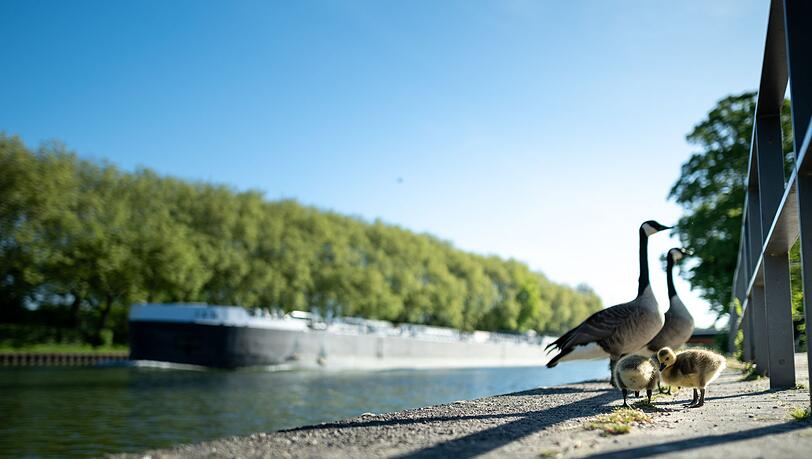 Viel Sonne und Temperaturen &uuml;ber 20 Grad sind in den n&auml;chsten Tagen zu erwarten.