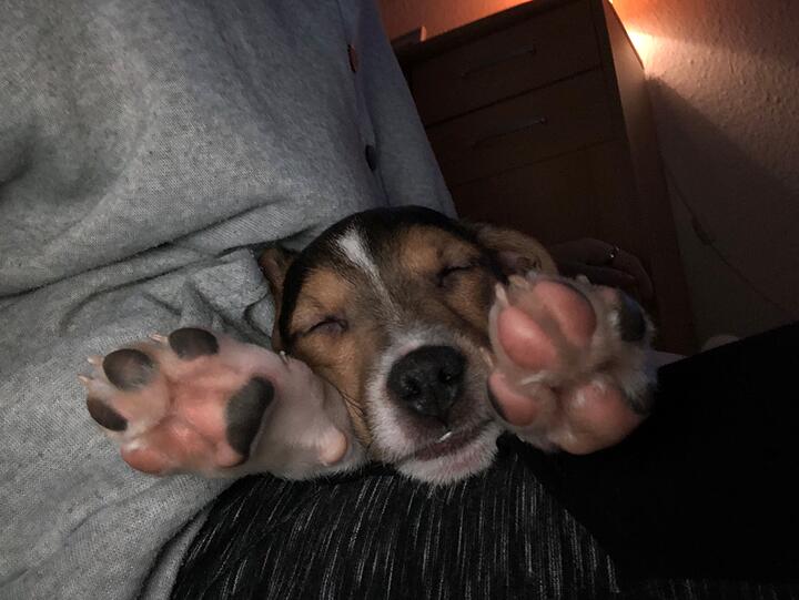 Rocky