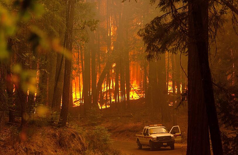 Die Waldbrände in der kalifornischen Sierra Nevada haben den Yosemite-Nationalpark erreicht. Die Bilder der Feuersbrunst!