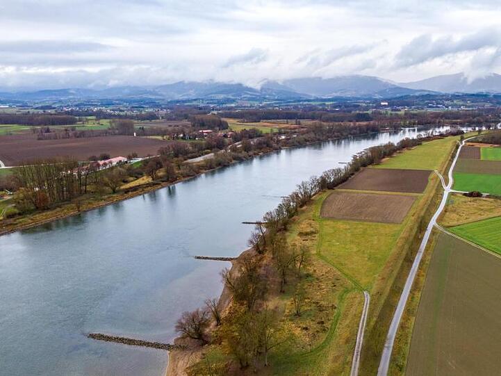 Die Donau nahe Stephansposching im Landkreis Deggendorf. Foto: Armin Weigel/dpa