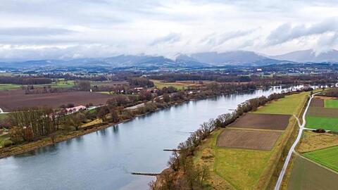 Die Donau nahe Stephansposching im Landkreis Deggendorf. Foto: Armin Weigel/dpa