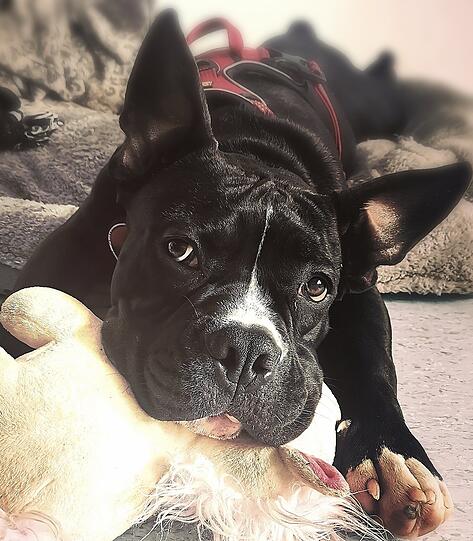 Pablo