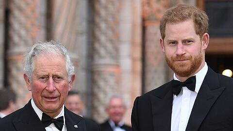 "Charles - Schicksalsjahre eines Königs": König Charles III. und sein Sohn Prinz Harry.