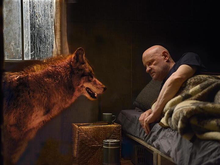 Kommissar Krüger (Christian Redl) und der Wolf in einer Szene des "Spreewaldkrimi - Zeit der Wölfe".
