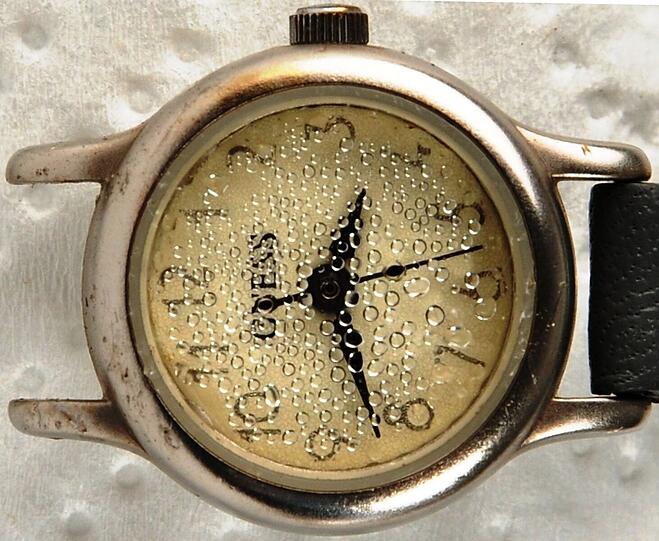 Diese Uhr trug die Tote am Handgelenk.
