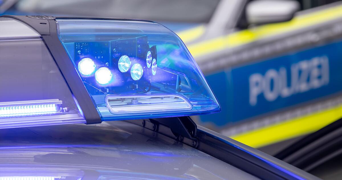 Polizei-stellt-Waffenarsenal-bei-Br-derpaar-sicher